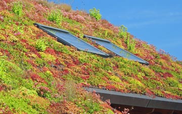 Thornaby On Tees living roof systems